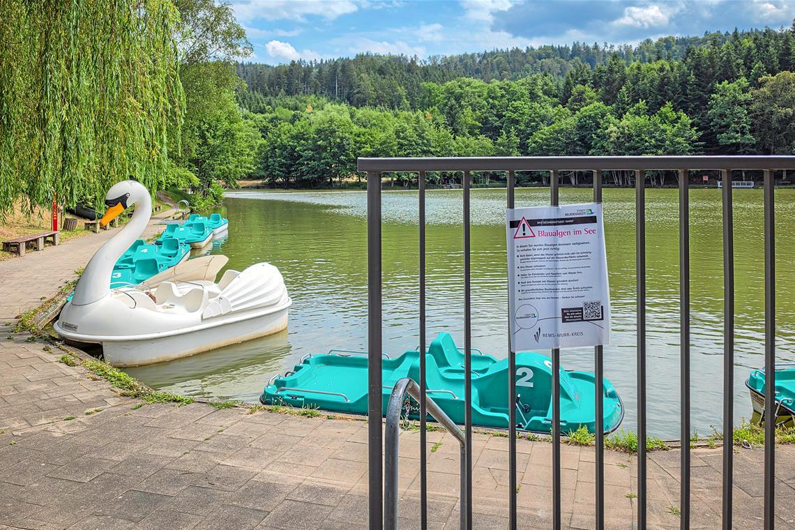 Am Fornsbacher Waldsee sind derzeit Blaualgen ein Thema. Das Gesundheitsamt informiert per Warnhinweis darüber, was für Badegäste zu beachten ist. Foto: Stefan Bossow