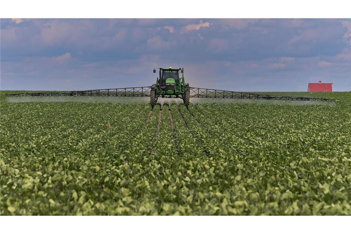 Am häufigsten fanden die Forscher Fungizide – also Wirkstoffe gegen Pilze. Diese machten 54 Prozent aller Pflanzenschutzmittel aus, gefolgt von Herbiziden – vor allem Glyphosat – mit 35 Prozent und Insektiziden mit 11 Prozent.