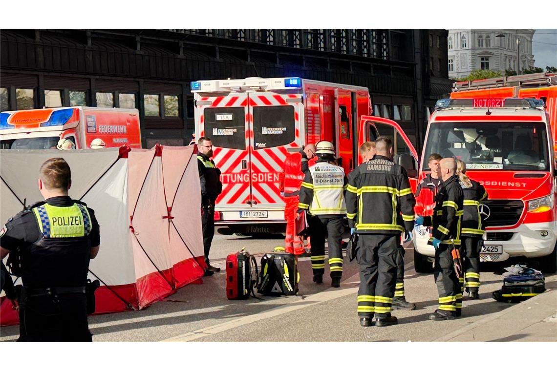 Messerangreiferin wohl psychisch krank Am Hamburger Hauptbahnhof waren zahlreiche Einsatzkräfte vor Tatort.