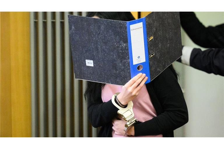 Am Landgericht Braunschweig hat ein Prozess um einen versuchten Mord mit Ameisensäure begonnen.