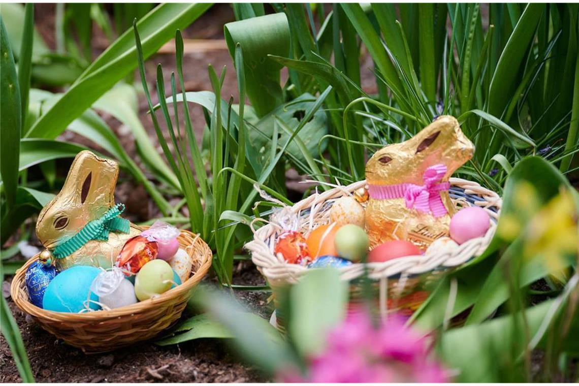 Warum gehen wir Ostern auf Eiersuche? Am Morgen des Ostersonntag werden nach dem traditionellen Osterspaziergang von den Kindern die im Garten versteckten Osternester gesucht.