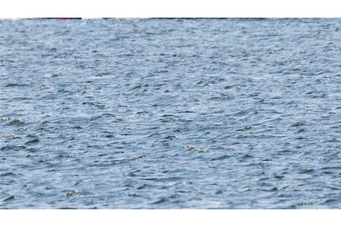 Am Morgen ist der gestrandete Buckelwal frei im Wasser geschwommen.