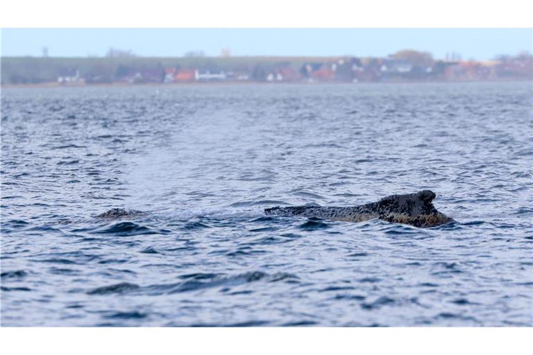 Am Nachmittag sollen die Kernergebnisse des Gutachtens vorgestellt werden. (Archivbild)