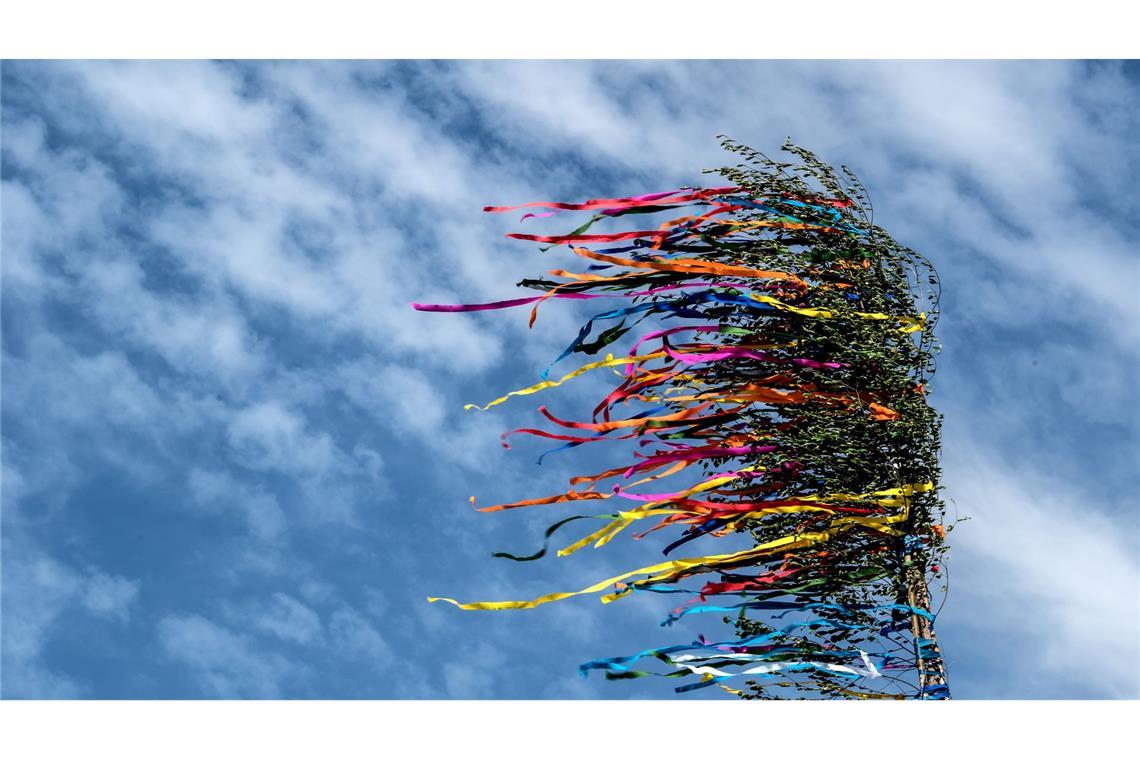 Am Niederrhein ist ein Maibaum umgekippt - es gibt mehrere Verletzte. (Illustration)
