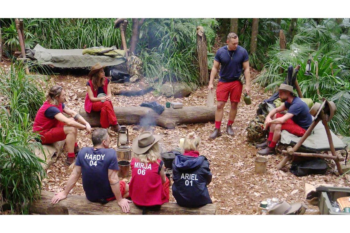 Am Sonntag, 25. Januar 2026, läuft nur eine stark verkürzte „Dschungelcamp“-Ausgabe auf RTL.