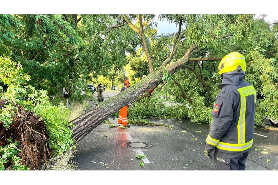 Unwetter ziehen über Teile Deutschlands Am späten Nachmittag und Abend ziehen Unwetter über Teile Deutschlands.