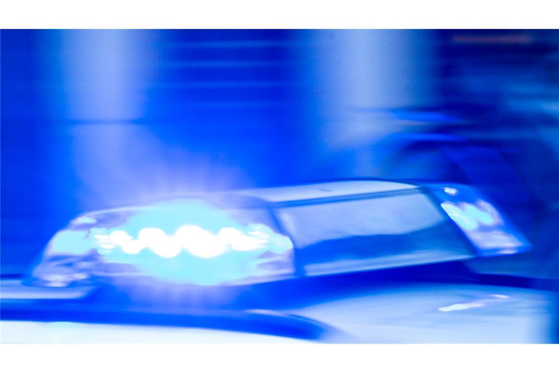 Durchsuchungen nach Angriff auf SPD-Mitglieder und Polizei Am Tag des Angriffs auf SPD-Mitglieder demonstrierten in Berlin Dutzende Rechtsextreme. (Archivbild)
