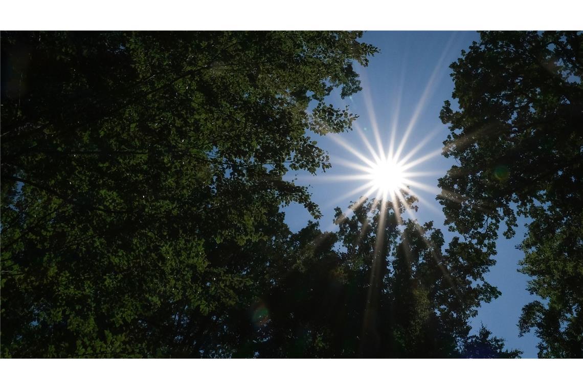 Am Wochenende kommt im Südwesten häufig die Sonne raus.