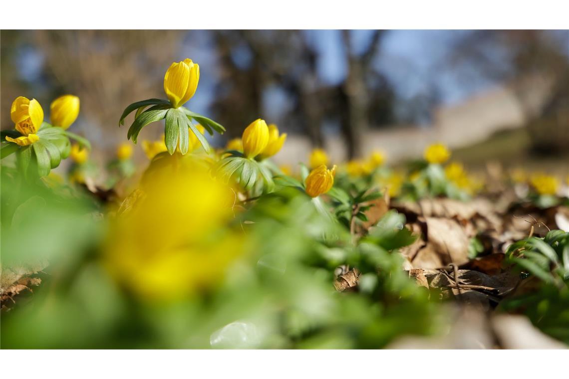 So schön wird das Wetter am Wochenende Am Wochenende wird es sonnig.