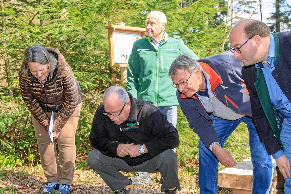 Amphibien entdecken: Jutta Kühnle, Manfred Krautter, Roland Funk, Gerhard Wahl und Bürgermeister Armin Mößner (von links).