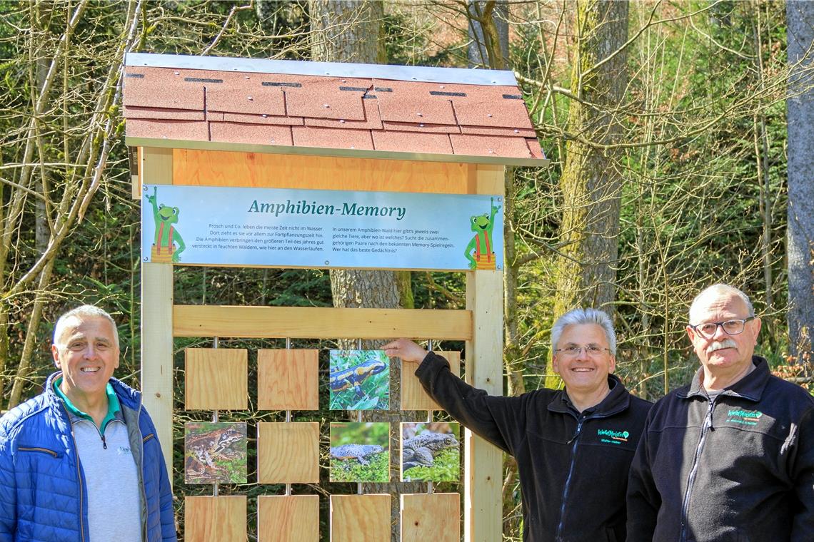 Brünnelesweg zu neuem Leben erweckt Amphibien erinnern: Günter Kühnle und Naturparkführer Walter Hieber sowie Manfred Krautter (von links) beim Memoryspiel.