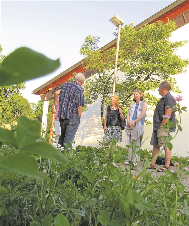 Blüten und bleibende Rückzugsorte An den Wabenbeeten vor der Kunstsammlung werden Gespräche stattfinden. Foto: C. Schick