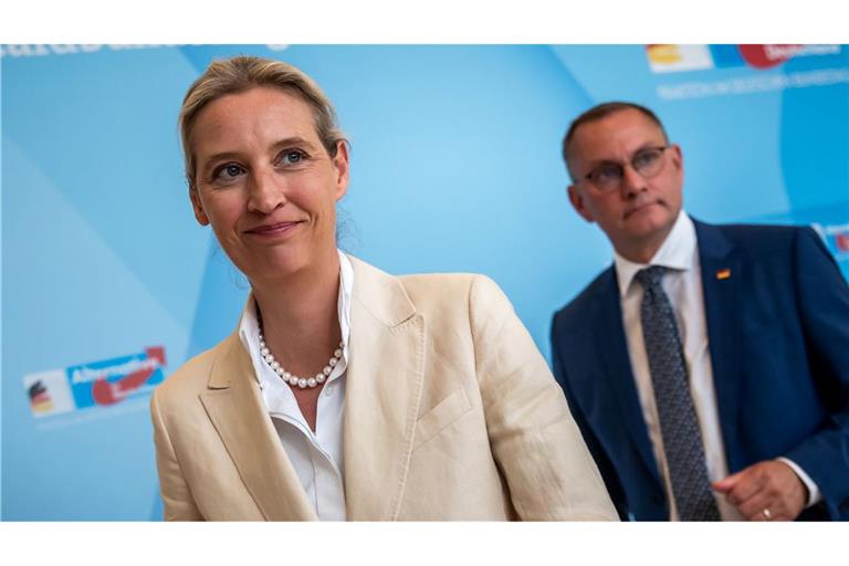 "An der AfD wird man nicht mehr vorbeiregieren können", meint Alice Weidel. (Archivfoto)