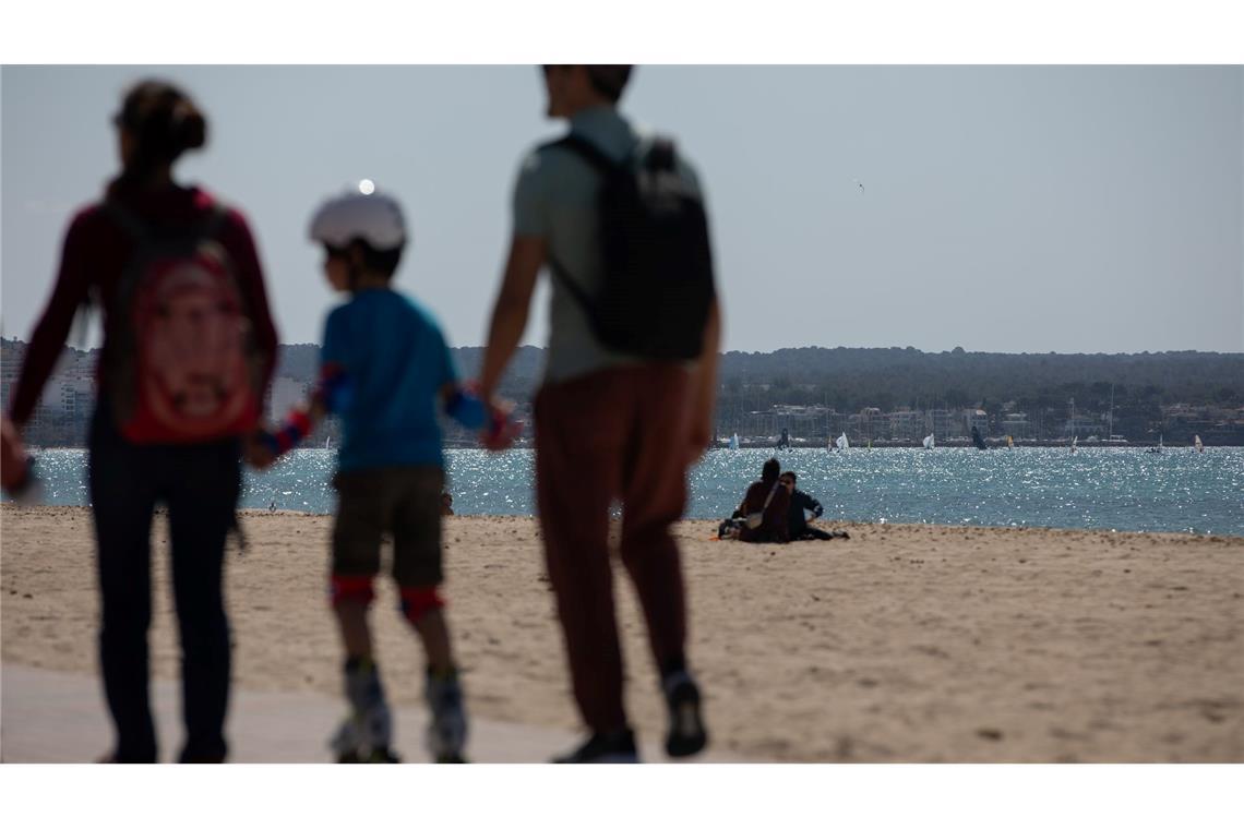 Blaue Überraschung: Strände auf Mallorca voller Quallen An manchen Stränden Mallorcas hat der Sturm vom Wochenende massenhaft Segelquallen angeschwemmt. Für Menschen sind sie harmlos. Aber sie stinken. (Symbolbild)