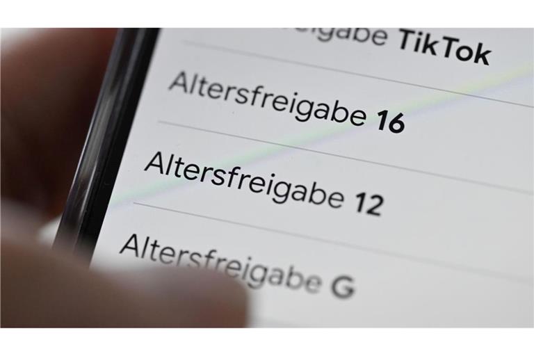 Andere Staaten haben ein Social-Media-Mindestalter bereits beschlossen oder bereiten es vor. (Symbolbild)