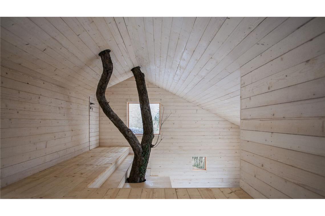 Anerkennung: Clemens Hoyer, Sophie Kotter für ihr „Kleinhaus“, Eichstätt in Bayern mit  Holz – und Baum.