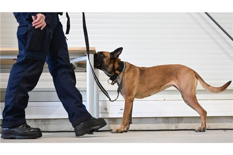 Anfang 2024 nahmen  die ersten ausgebildeten Datenträgerspürhunde im Südwesten die Arbeit auf.