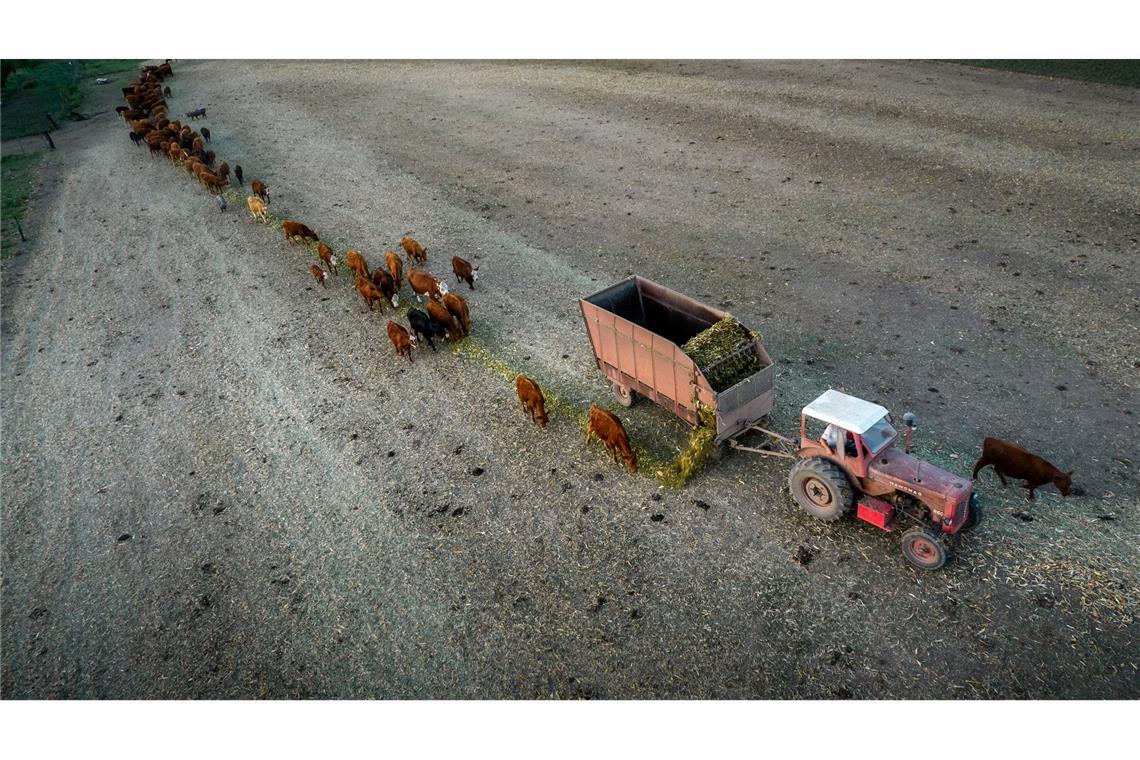 Anfang Februar 2023 trug La Niña zu einer verheerenden Dürre in Argentinien bei. (Archivbild)