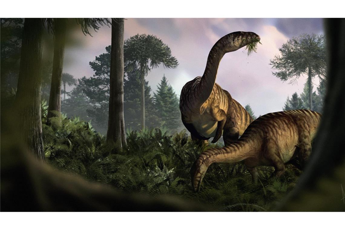 Kot- und Darm-Fossilien beschreiben Aufstieg der Dinosaurier Anhand von versteinertem Kot, Erbrochenem und Darminhalten haben Fachleute die frühe Entwicklung der Dinosaurier rekonstruiert.
