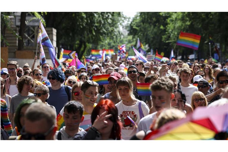 Archivbild: Viele Menschen ziehen im Juni 2024 bei der 29. Pride Parade in Budapest durch die Stadt.