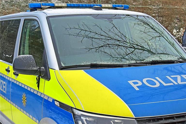 Archivfoto: Tobias Sellmaier