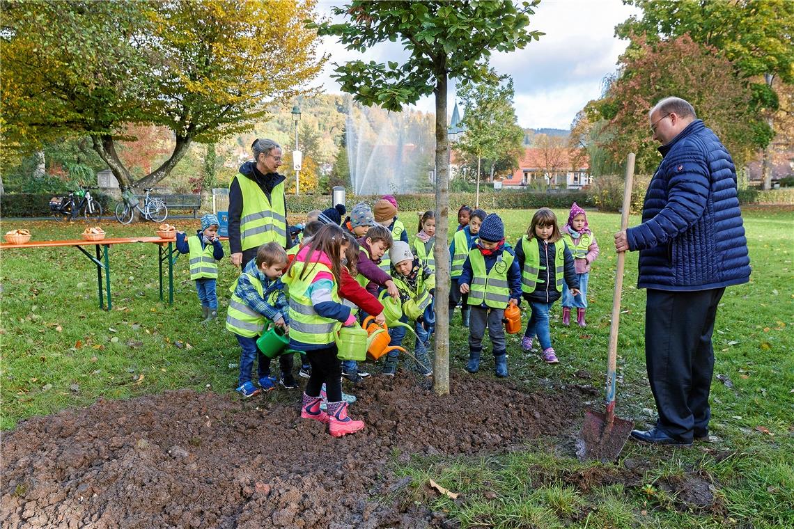 Eine Rotbuche für den Stadtgarten Armin Mößner und Kindergartenkinder Hörschbach beim Gießen. Foto: J. Fiedler