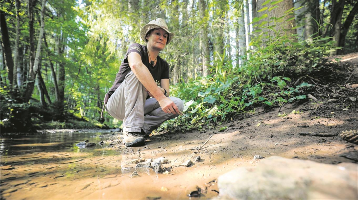 Astrid Szelest schaut am Ufer der Lein nach Spuren. Entlang der Lebensader, die im Welzheimer Wald entspringt und Wasser und Kühle spendet, gibt es wunderbar idyllische Plätzchen. Fotos: A. Becher