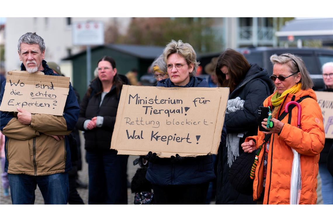 Gestrandeter Wal atmet schwächer