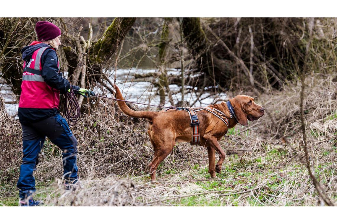 Weiter keine Spur von Sechsjährigem in Weilburg Auch an diesem Wochenende wird die Suche nach dem vermissten Pawlos fortgesetzt.