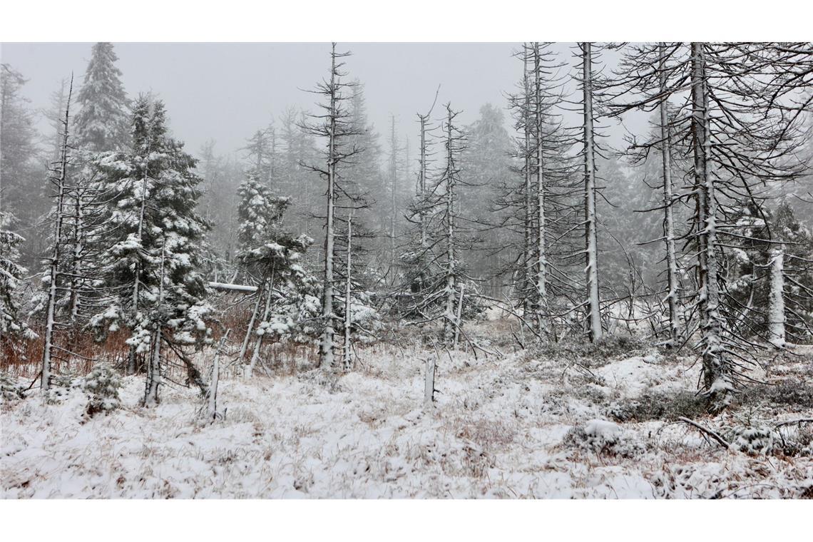 Tief "Quiteria" bringt Sturmböen und Schnee Auch auf dem Brocken hat es geschneit. (Foto Aktuell vom 17.11.)