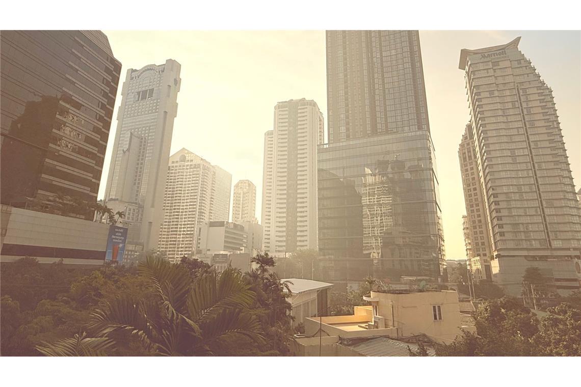 Gefährlicher Smog in Bangkok: Notmaßnahmen eingeleitet Auch Brandrodungen tragen zum gefährlichen Smog bei.