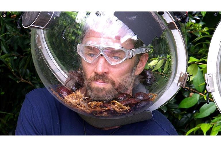 Auch das krabbeligste Getier konnte ihn nicht stoppen: Musiker Gil Ofarim ist Dschungelkönig.