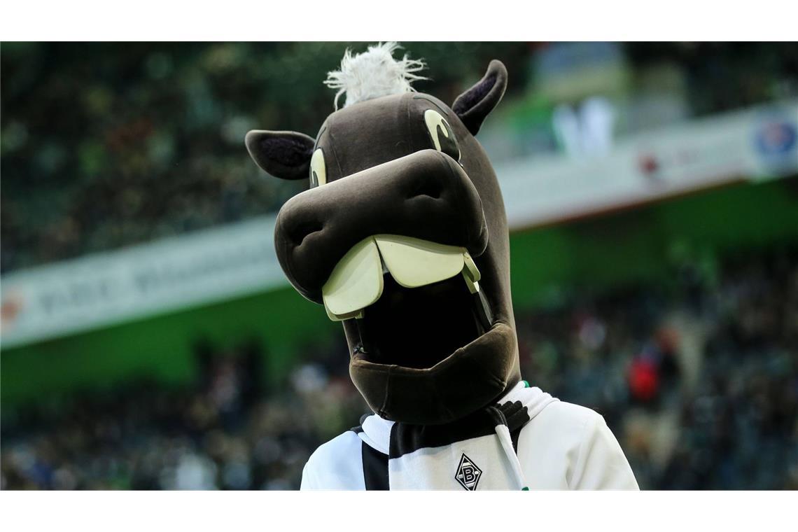 Auch der Kölner Erzrivalen Borussia Mönchengladbach hat ein Maskottchen mit Kultcharakter: Der Fohle Jünter ist eine Hommage an Vereinsikone Günter Netzer, dessen rheinische Aussprache namensgebend war.