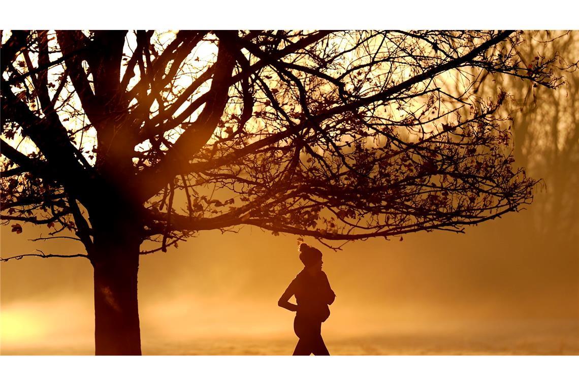 Auch Herbst 2024 zu warm Auch die Herbstmonate 2024 waren laut ersten Prognosen zu warm (Foto aktuell).