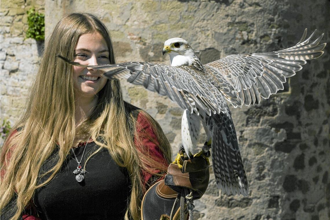 Das mittelalterliche Burgfest ist zurück Auch die Kunst der Falknerei ist Teil des Programms. Foto: A. Ronge