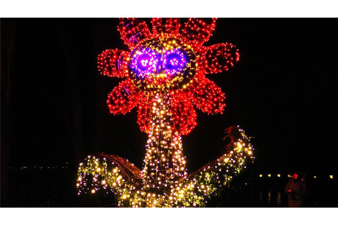 Lichtblumen zur blumenfreien Zeit Auch diese Blume aus Licht gehört zum Christman Garden.