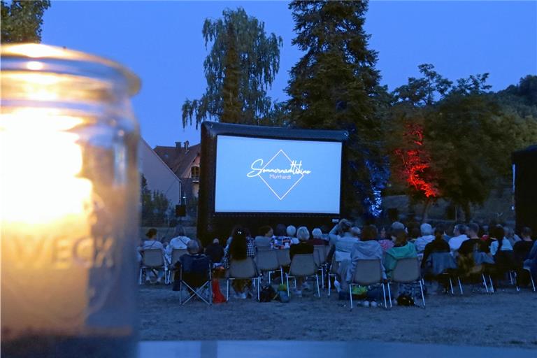 Auch dieses Jahr bietet das Kinoteam gemeinsam mit dem Verein Vielfalt tut gut ein Sommernachtskino im Stadtgarten an. Archivfoto: Christine Schick
