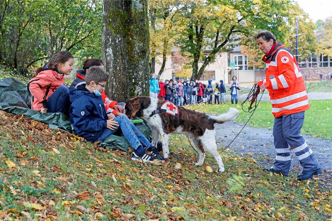Der Partner mit der unschlagbaren Nase Auch Don und Susanne Barreuther aus Murrhardt (rechts) sind mit von der Partie. Bei den Begegnungen am Rande des Stadtgartens lernen die Kinder auch, wie sie sich gut im Umgang mit Hunden verhalten können. Fotos: J. Fiedler