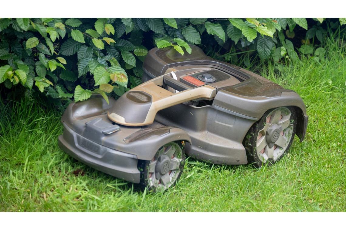 Aktion: Warum der Rasenmäher im Mai im Schuppen bleiben soll Auch ein Mähroboter sollte bei der Aktion "mähfreier Mai" nicht eingesetzt werden. (Archivbild)