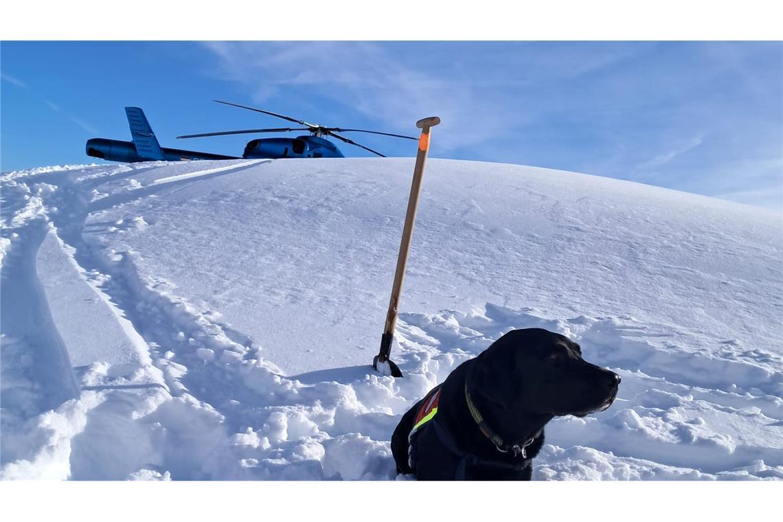 Acht Tote bei drei Lawinenabgängen in Österreich