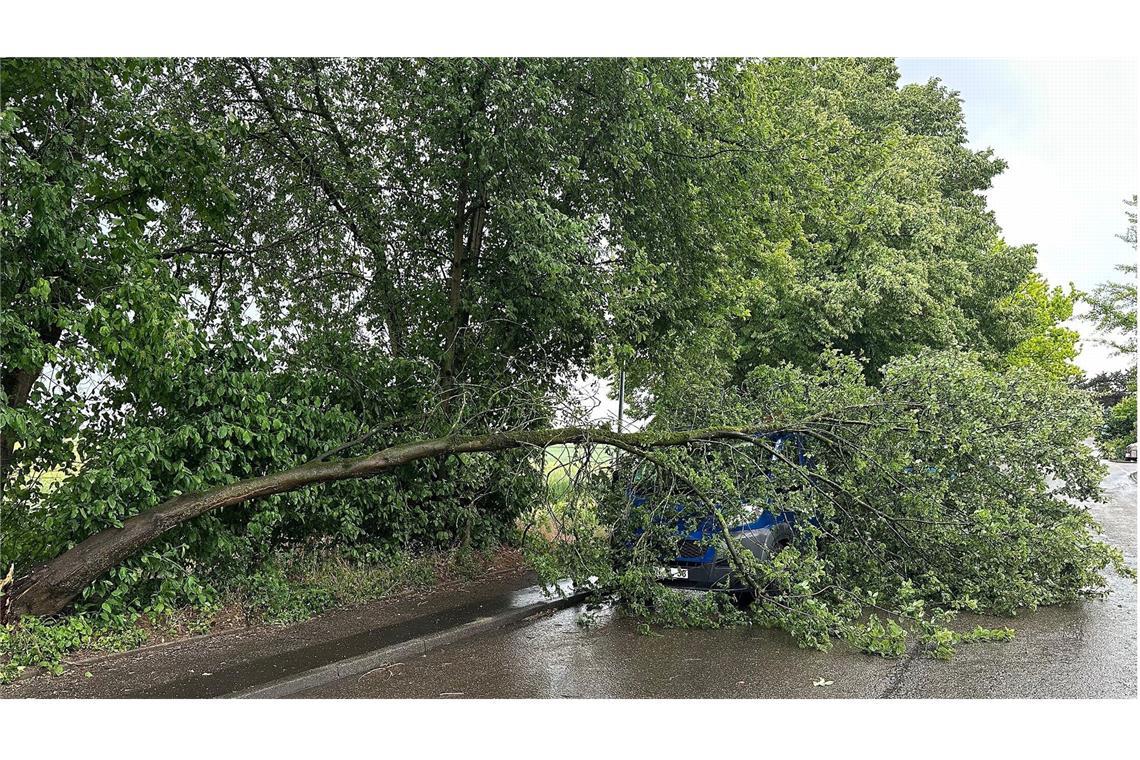 Über 100 Einsätze für Polizei und Feuerwehr wegen Unwetter Auch im Kreis Ludwigsburg kam es zu mehreren Einsätzen der Feuerwehr.