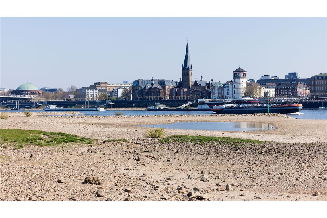 Trockenheit: Wie gravierend sind die Folgen für die Natur? Auch in Düsseldorf ist das Niedrigwasser des Rheins nicht zu übersehen. (Archivbild)