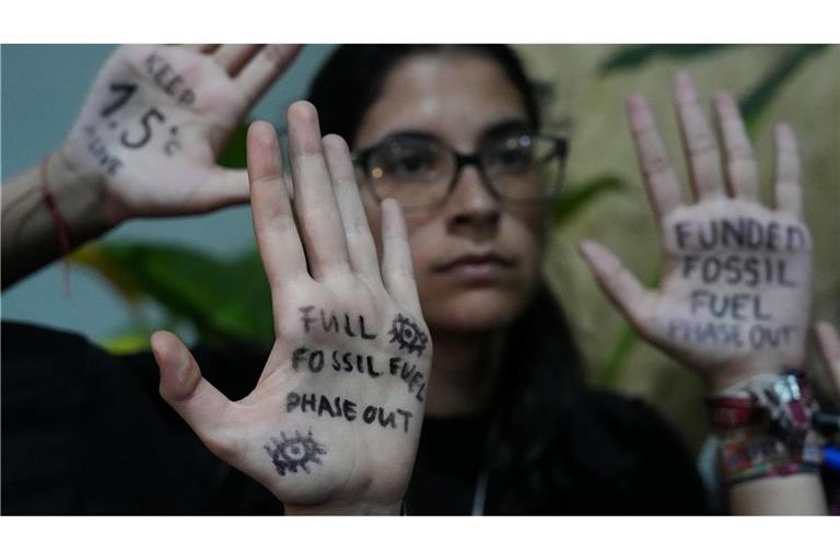 Auch Klimaaktivisten fordern ein Aus für fossile Energieträger.