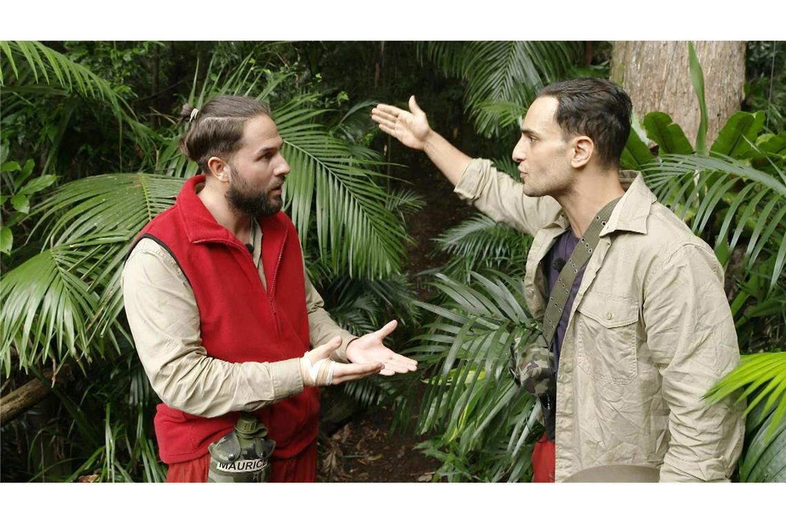 Sportkommentator Dahlmann verlässt RTL-Dschungel Auch Maurice Dziwak (l.) und Timur Ülker zofften sich.