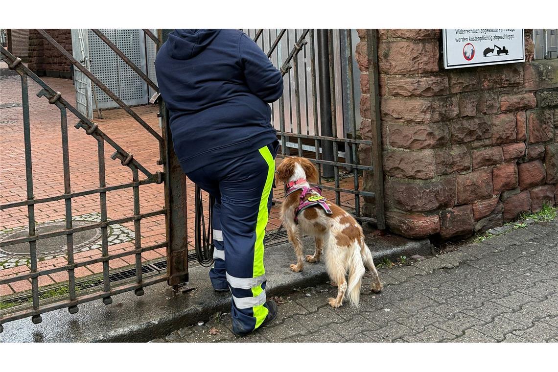 Ermittlungen in familiärem Umfeld von Achtjährigem verstärkt
