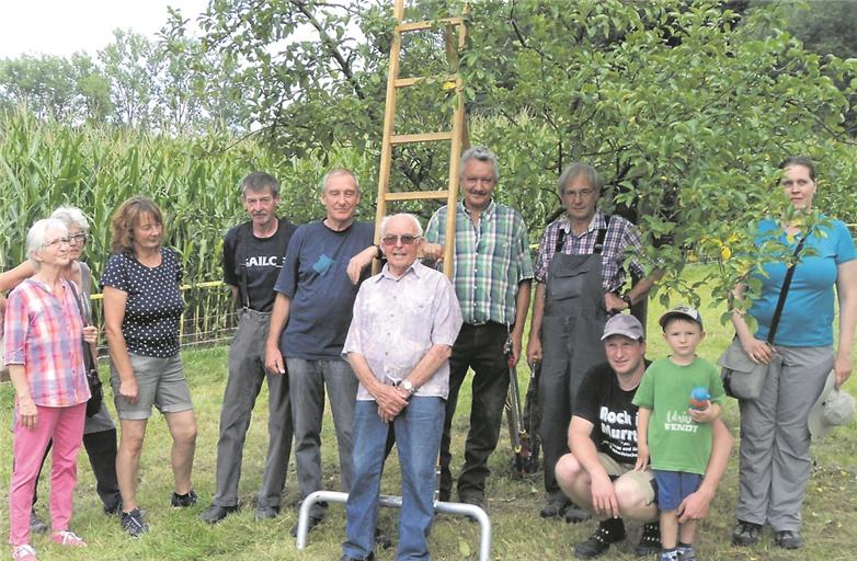 Auch Obstbäume bedürfen fachgerechter Pflege. Wie die funktioniert, konnten die Teilnehmer beim jüngsten Schnittkurs des Vereins für Obstbau, Garten und Landschaft Murrhardt erfahren und im Praxistest erproben. Foto: privat