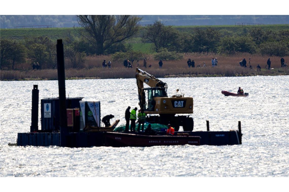 Neue Aktion am Buckelwal – Team kämpft mit Ausfällen