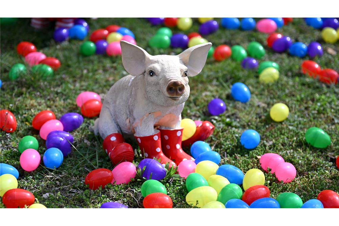 Auch zahlreiche Tiere wie etwa dieses Schwein oder auch eine Giraffe und zahlreiche Affen stehen zwischen den bunten Eiern.