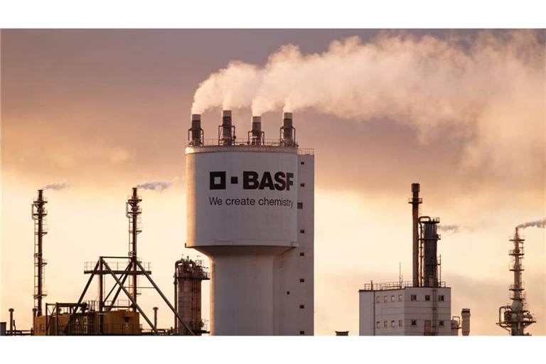 Auf dem BASF-Gelände in Ludwigshafen istes zu einem tödlichen Unfall gekommen. (Archivbild)