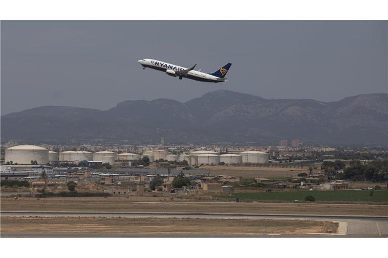 Auf dem Flughafen von Palma sorgte ein Hundewelpe für Aufregung. (Archivbild)